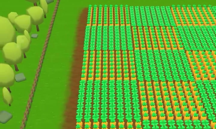 Harvest Loop fields tiled with carrot and cabbage crops beside a tree line